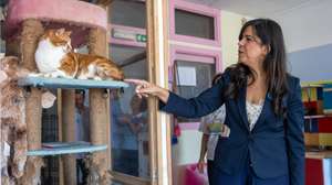 A porta-voz do Pessoas Animais Natureza (PAN), Inês Sousa Real, durante uma visita à Associação Aldeia dos Gatos de Sintra no âmbito da campanha para as eleições autárquicas, Sintra, 03 de outubro de 2025. JOSÉ SENA GOULÃO/LUSA