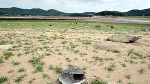 epa03281898 An Incheon reservoir is dried up on 26 June 2012 due to a severe months-long drought on the Korean Peninsula. In particular, North Korea may face serious food shortages as some areas have received only about 10 per cent of the  rainfall that usually falls during the period, affecting mostly agriculture and in particular the production of maize.  EPA/YONHAP