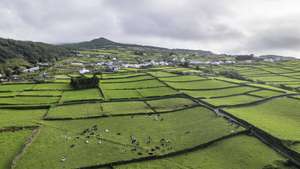 Ilha Terceira