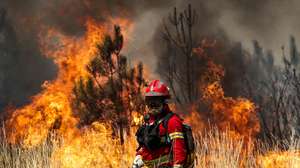 Um bombeiro combate as chamas durante o incêndio na encosta da aldeia de Moura da Serra, Arganil, 14 de agosto de 2025. De acordo com os dados disponíveis no ‘site’ da Autoridade Nacional de Emergência e Proteção Civil (ANEPC), quase 900 operacionais combatiam o fogo que deflagrou na quarta-feira na freguesia de Piódão, no concelho de Arganil, distrito de Coimbra, e se estendeu depois aos municípios de Oliveira do Hospital e Pampilhosa da Serra (Coimbra), e de Seia, já no distrito da Guarda. PAULO CUNHA/LUSA