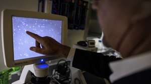 epa12385998 Dean of Robert Stempel College of Public Health &amp; Social Work at Florida International University Doctor Tomas R. Guilarte looks at an image displayed on the screen of a microscope in his lab at Florida International University in Miami, Florida, USA, 17 September 2025. Florida International University is investigating Translocator Protein (TSPO), a biomarker of neuroinflammation, and its role in the progression of Alzheimer's disease. Early findings show that TSPO levels increase well before memory loss occurs, offering hope for early detection and improved treatments.  EPA/CRISTOBAL HERRERA-ULASHKEVICH