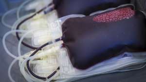Sacos de sangue