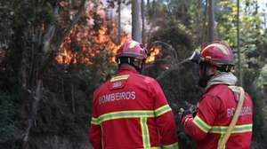 Bombeiros de Câmara de Lobos combatem incêndio na Estrada Nova do Castelejo, na freguesia do Estreito de Câmara de Lobos, em Câmara de Lobos, 18 de agosto de 2024, HOMEM DE GOUVEIA/LUSA