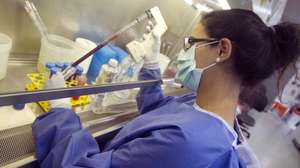 epa02925592 A researcher works in the lab of IrsiCaixa, where the HIVACAT (Catalonia's investigation project for a HIV Vaccine) team has its headquarters, in Barcelona, north-eastern Spain, 19 September 2011. HIVACAT heads have announced on 19 September that, five years after its implementation, the team has achieved a protein made from 46 fragments of viral proteins with great potential to stimulate the immune response. The named protein is the candidate for a preventive vaccine against HIV and that could begin to be tested with fifteen healthy people in two years.  EPA/ALEJANDRO GARCIA