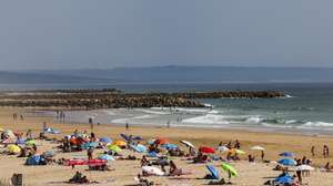 A ministra do Ambiente e Energia, Maria da Graça Carvalho e a presidente da Câmara Municipal de Almada, Inês de Medeiros (ausentes na fotografia), visitam projetos realizados no âmbito da proteção costeira (ReDuna) Praia de São João, Costa da Caparica. ANTÓNIO COTRIM/LUSA