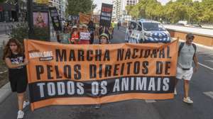 Ativistas participam na 8.ª Marcha Nacional Pelos Direitos de Todos os Animais, organizada pelo Portugal Animal Save, que integra o “Animal Save Movement”, organização internacional que tem como missão consciencializar o público para a exploração e opressão animal, com início no Campo Pequeno e termina junto à escadaria principal do Palácio de São Bento, em Lisboa, 05 de setembro de 2026. MANUEL DE ALMEIDA/LUSA