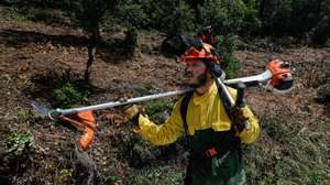 Um elemento da equipa de sapadores florestais da Associação de Produtores Florestais da Serra do Caldeirão e da Equipa Municipal de Intervenção Florestal faz a limpeza da vegetação e do mato entre as árvores, assim como a “desramação”, retirando todos os troncos e “evitando que as copas se toquem” junto às habitações, em Loulé, 04 de junho de 2020. A poucos dias do início do verão ainda há equipas de sapadores na serra algarvia em ações de limpeza para garantir a criação de faixas de segurança e travar a propagação de incêndios, protegendo a floresta e as populações. (ACOMPANHA TEXTO DA LUSA DO DIA 09 DE JUNHO DE 2020). LUÍS FORRA/LUSA