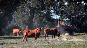 Produção alimentar