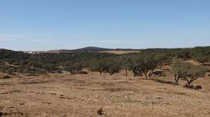 Local onde será construído o paredão da barragem do Pisão, durante uma visita ao início dos trabalhos da empreitada das Infraestruturas Primárias da Barragem do Pisão, Crato, 22 de setembro de 2025. A barragem é um projeto estruturante para o desenvolvimento do Alto Alentejo, que irá assegurar o abastecimento de água potável, potenciar a agricultura, reforçar a coesão territorial e contribuir para a transição energética da região. NUNO VEIGA/LUSA