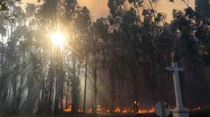 Chamas durante o incêndio florestal que deflagrou ao início da tarde na zona de Eirol/Eixo, no concelho de Aveiro, e obrigou ao corte da Autoestrada do Norte (A1), em Aveiro, 18 de setembro de 2026. PAULO NOVAIS/LUSA