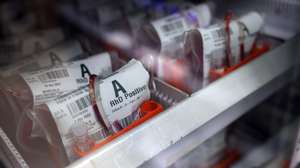 Bolsas com sangue no serviço de imunohemoterapia, no Hospital de Portalegre, 10 de janeiro de 2023. NUNO VEIGA/LUSA