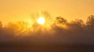 epa08446672 The rays of the golden autumn sun break through the foliage of trees on a foggy morning near Nagykanizsa, Hungary, 31 October 2016 (reissued 27 May 2020). Gold is considered a majestic color that symbolizes wealth and luxury. It is associated with success, achievement, and triumph, but it can also be deemed decadent and overindulgent. Connected with prestige and elegance, gold symbolizes divinity, power, and wisdom in many religions due to its association with masculine energy and the power of the sun.  EPA/GYORGY VARGA HUNGARY OUT ATTENTION: This Image is part of a PHOTO SET *** Local Caption *** 53098279