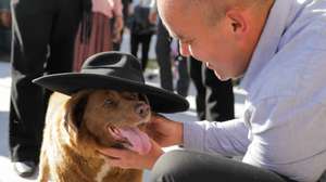 Leonel Costa plays with Bobi, a 31-year-old dog, that has celebrated his birthday as a celebrity in rural village of Conqueiros, in Leiria, central Portugal after being declared the world&#039;s oldest dog ever two months ago by Guinness World Records, Leiria, 13 May 2023. Bobi&#039;s owner kept him in secret as a child after his parents said they couldn&#039;t keep the litter of new pups. His owners attribute his longevity to his diet of human food. PAULO CUNHA/LUSA