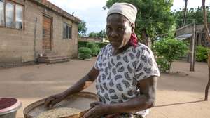 Mulher prepara feijão para fazer pasteis, conhecidos como ‘badjias’, em Maputo, Moçambique, 24 de novembro de 2025. Mulheres na Manhiça vendem ‘badjias’, pasteis de feijão, para ‘fazer dinheiro no Natal’, em bancas improvisadas que resistiram aos protestos pós-eleitorais, num negócio que alimenta famílias que fogem ao desemprego naquele distrito da província de Maputo. (ACOMPANHA TEXTO DA LUSA DO DIA 23 DE DEZEMBRO DE 2025). VIRIATO SIMBINE/LUSA