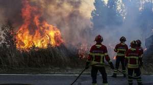 Bombeiros durante o combate ao incêndio florestal que desde a madrugada consome floresta em Carvalhal de Vermilhas, Vouzela, 2 de julho de 2026. O Governo decretou situação de alerta, que vai vigorar das 00:00 de sexta-feira às 23:59 de segunda-feira, devido ao "significativo agravamento do risco de incêndios rurais". PAULO NOVAIS/LUSA