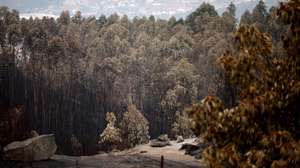 Área ardida pelo incêndio florestal que deflagrou ao final da tarde de segunda-feira em Rebordões, no concelho de Santo Tirso, e que chegou a ter mais de 200 homens apoiados por mais de 70 viaturas no combate a quatro frentes ativas, queimaram mil hectares de mato e floresta, 20 de agosto de 2026. (ACOMPANHA TEXTO). ESTELA SILVA/LUSA
