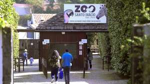 Reabertura do Zoo Santo Inácio após ter estado encerrado devido à pandemia da Covid-19, Avintes, Vila Nova de Gaia, 7 de maio de 2020. FERNANDO VELUDO/LUSA