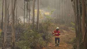 Bombeiros fazem o rescaldo em Massadas, no concelho de Águeda, após a passagem do incêndio que começou ontem em Vouzela, Águeda, 3 de julho de 2026. PAULO NOVAIS/LUSA