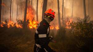 epa13141087 A handout photo made available by the Departmental Fire and Rescue Service 22 (SDIS33) shows a firefighter works to contain a major wildfire near Saumos, Gironde department, France, 29 July 2026 (issued 30 July 2026). According to regional authorities, the wildfire that broke out near Saumos has burned roughly 42,000 hectares of pine forest and forced the evacuation of over 200,000 residents across the Gironde region.  EPA/MAEL DUBIEZ / SDIS33 /HANDOUT HANDOUT EDITORIAL USE ONLY/NO SALES