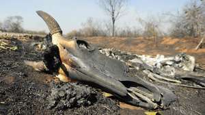 epa11496352 The remains of an animal burned in a forest fire in Robore, Bolivia, 24 July 2024 (issued 25 July 2024). The Bolivian government reported on 25 July a 'significant' increase in heat spots and forest fires in the Andean country, with the municipality of Robore being the most affected. The intervention of firefighters and military personnel to try to control the fires is ongoing.  EPA/JUAN PABLO ROCA