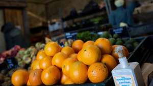 epa08345915 Several oranges placed next to a hand sanitizer gel at the store of the organic farming cooperative 'Petit Bane' in the town of Vilassar de Mar, Barcelona, Spain, 03 April 2020 (issued on 06 April 2020). The cooperative is intensive working these days due to the huge rise of online orders amid the lockdown caused by coronavirus outbreak. The cooperative produces, collects and sells organic farming and exchanges products and services with other producers to cope with the demand.  EPA/Enric Fontcuberta photo set