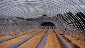 Novas estufas estão a ser construidas junto ao Brejão (Odemira), zona onde os habitantes estão rodeados por este tipo de agricultura intensiva e se queixam entre outras coisas do aumento da quantidade de moscas, para além do cheiro dos produtos químicos utilizados na agricultura. Odemira, 10 de maio de 2021. (ACOMPANHA TEXTO  DE 19/05/2021). NUNO VEIGA/LUSA