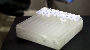 Universidade de Coimbra vai coordenar Rede Lusófona de Microbiologia
