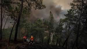 Bombeiros durante o combate a um incêndio que lavra em Oleiros, Castelo Branco, 14 de setembro de 2020. O incêndio que deflagrou em Proença-a-Nova no domingo e que lavra hoje com intensidade em Oleiros já está próximo do Rio Zêzere, afirmou hoje o presidente da Câmara. Segundo a Autoridade Nacional de Emergência e Proteção Civil estão neste momento a combater o incêndio 1041 operacionais no terreno, apoiados por 343 veículos e oito meios aéreos. PAULO CUNHA /LUSA