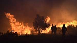 Bombeiros combatem um incêndio na freguesia de Vila Cortês do Mondego, Guarda, 13 de agosto de 2022. De acordo com a página da Autoridade Nacional de Emergência e Proteção Civil, o incêndio está a ser combativo por 1262 operacionais, apoiados por 375 viaturas. NUNO ANDRÉ FERREIRA/LUSA