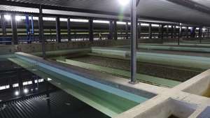 Estação de Tratamento de Águas (ETA), em Asseiceira, Tomar, 17 de março de 2021. A Estação de Tratamento de Águas (ETA) que fornece água a um terço dos portugueses vai em breve ser neutra em consumo de energia e ainda vai produzir hidrogénio verde, um projeto que deve “orgulhar o país". (ACOMPANHA TEXTO DA LUSA DO DIA 05 DE ABRIL DE 2021). JOÃO RELVAS/LUSA
