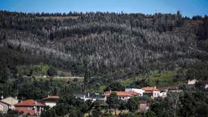 Nas aldeias dos concelhos de Pedrógão Grande, Castanheira de Pêra e Figueiró dos Vinhos ainda são bem visíveis os sinais de destruição  4 anos depois do incêndios de Pedrógão Grande, com casas que continuam destruídas e árvores queimadas por cortar, Castanheira de Pêra,14 de junho de 2021. (ACOMPANHA TEXTO DE 16/06/2021) PAULO NOVAIS/LUSA