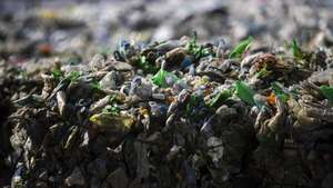 Resíduos sólidos para o Ecoparque do Relvão, na Chamusca, 06 de fevereiro de 2020. A população da Chamusca queixa-se do cheiro nauseabundo dos camiões carregados de resíduos. (ACOMPANHA TEXTO DO DIA 13 DE FEVEREIRO DE 2020). JOSÉ SENA GOULÃO/LUSA