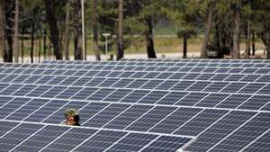 Um militar passa por painéis solares na inauguração do Parque Solar Fotovoltaico da Base Aérea n.º 5 (BA5), em Monte Real, Leiria, 04 de agosto de 2020. Esta infraestrutura, ligada à rede de energia elétrica da unidade, é composta por 540 painéis de 370 W, instalados numa área de 3.000 m2, e tem como objetivo reforçar a sustentabilidade ambiental desta unidade da Força Aérea Portuguesa. PAULO CUNHA /LUSA