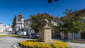 Porca de Murça em Murça, distrito de Vila Real, 24 de Agosto de 2017. PEDRO SARMENTO COSTA / LUSA