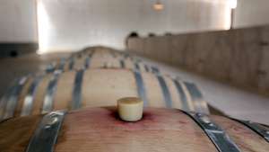 Pipas com vinho na adega da Herdade do Esporão, Reguengos de Monsaraz, 21 de junho de 2015. O enoturismo ou turismo vinícola tem aumentado muito no Alentejo nos últimos anos. (ACOMPANHA TEXTO) NUNO VEIGA/LUSA