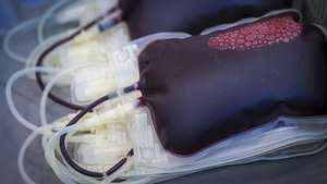 Sacos de sangue
