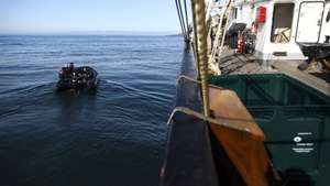 As regiões marinhas da montanha de Camões, Cabo da Roca, a plataforma rochosa da Ericeira, e entre o Cabo Raso e a costa sul de Cascais são zonas importantes a preservar, revelou hoje uma investigação após, a bordo do navio "Santa Maria Manuela" percorrrer 374 milhas , a que se acrescentam 256 milhas dos barcos de apoio, envolvendo 150 participantes, incluindo 58 investigadores de sete instituições e 17 pescadores com cinco embarcações, pertencentes a diferentes associações, 12 outubro 2022. (ACOMPANHA TEXTO) ANDRÉ KOSTERS / LUSA