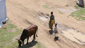 epa10151796 A handout photo made available by UNHCR shows a woman and child walking in an Internally Displaced Peoples (IDP) site called Five Angels IDP site, in Tigray Region, Ethiopia, 24 September 2021. (released 01 September 2022.) Over 2 million people are estimated to have been internally displaced in the Tigray region of Ethiopia. The humanitarian situation across the region remains deeply concerning with renewed fighting reported on the border of the Ahmara region in August 2022. UNHCR has a large presence across the region, establishing a network of protection desks, working with community leadership structures, and distributing life-saving items.  EPA/OLGA SARRADO MUR / UNHCR / HANDOUT  HANDOUT EDITORIAL USE ONLY/NO SALES