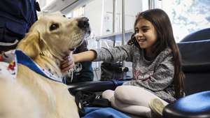 O projeto de duplas de cães de assistência na Ala Pediátrica do Hospital São João no Porto, em curso desde outubro de 2022, ultrapassou as expetativas, com os profissionais de saúde a admitir ganharem também com isso, Porto, 3 de março de 2023. “Começámo-nos a aperceber que para além dos benefícios diretos nas crianças, eles eram extensíveis também aos familiares e aos profissionais de saúde e de todo o hospital”, descreveu a voluntária da Ânimas, uma associação que forma cães de assistência para pessoas com deficiência que se candidatem a este auxílio, sendo que estes, terminada a formação, são entregues gratuitamente aos novos donos.  (ACOMPANHA TEXTO DE 06-03-2023) JOSÉ COELHO/LUSA