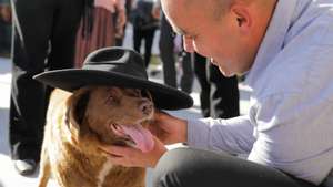 Leonel Costa plays with Bobi, a 31-year-old dog, that has celebrated his birthday as a celebrity in rural village of Conqueiros, in Leiria, central Portugal after being declared the world&#039;s oldest dog ever two months ago by Guinness World Records, Leiria, 13 May 2023. Bobi&#039;s owner kept him in secret as a child after his parents said they couldn&#039;t keep the litter of new pups. His owners attribute his longevity to his diet of human food. PAULO CUNHA/LUSA