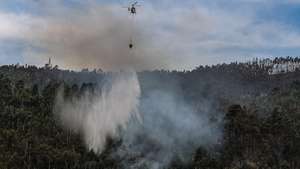 Câmara de Tábua executa projeto de proteção das populações contra incêndios rurais