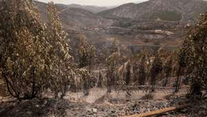 Área ardida na zona de Galé de Cima no concelho de Aljezur, 9 de agosto de 2023. O incêndio rural que deflagrou no sábado em Odemira e entrou nos concelhos de Monchique e Aljezur (Faro) destruiu pelo menos duas casas e uma unidade de turismo rural, além de vários anexos.  MIGUEL A. LOPES/LUSA