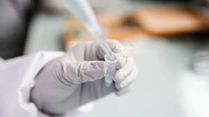 epa10790667 Paraguayan researcher Alejandra Wu-Chuang uses a pipette for antibody detection in a laboratory at the campus facilities of the ANSES (French Agency for Food, Environmental and Occupational Health and Safety) in Maisons Alfort, on the outskirts of Paris, France, 07 August 2023 (08 August 2023). Tick-borne pathogens can be passed to animals and humans by the bite of infected ticks with bacteria, viruses, or parasites. One major example of tick-borne disease is borreliosis (Lyme disease). A team of researchers from INRAE (National Research Institute for Agriculture, Food and Environment)​​, in collaboration with ANSES and ENVA (National Veterinary School of Alfort), are proposing an innovative vaccine targeting the microbiota of ticks in order to reduce the prevalence of bacterium that causes the Lyme disease. There is still no human vaccine for the infection, however scientists are producing new medicines to fend off the illness.  EPA/TERESA SUAREZ