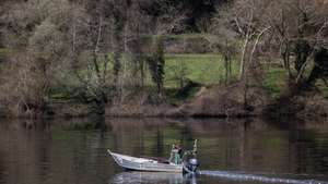 Um pescador pesca lampreia no rio Minho, em São Pedro da Torre, Valença, Valença, 14 de fevereiro de 2024. JOSÉ COELHO/LUSA