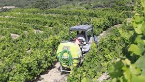 Os viticultores de Freixo de Numão, em Foz Côa, mostram-se hoje “desolados e desanimados”, depois da intempérie que assolou na segunda-feira este território do Douro Superior e que dizimou grande parte da cultura da vinha, 14 de junho de 2023. Ao longo das encostas desta região são visíveis os estragos nas videiras, que, na sua maioria, ficaram completamente destruídas pela força da chuva e do granizo que caiu ao final da tarde de segunda-feira e que atingiu mais de dois terços das vinhas deste concelho do distrito da Guarda. MIGUEL PEREIRA DA SILVA/LUSA