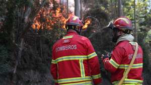 Bombeiros de Câmara de Lobos combatem incêndio na Estrada Nova do Castelejo, na freguesia do Estreito de Câmara de Lobos, em Câmara de Lobos, 18 de agosto de 2024, HOMEM DE GOUVEIA/LUSA