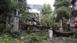 epa11592885 A woman stands next to a fallen tree after typhoon Yagi's landfall in Hanoi, Vietnam, 08 September 2024. Typhoon Yagi, Asia's most powerful storm so far this year, made landfall in northern Vietnam on 07 September, killing 14 people and injuring 220 others, according to statistics from the Vietnam Disaster and Dyke Management Authority under the Ministry of Agriculture and Rural Development.  EPA/LUONG THAI LINH