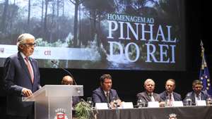 O presidente da Assembleia da República, José Pedro Aguiar-Branco, durante a intervenção na sessão de homenagem nacional ao Pinhal do Rei organizada pela Câmara Municipal da Marinha Grande e pela Comunidade Intermunicipal da Região de Leiria, para assinalar o 7.º aniversário dos incêndios que devastaram a Mata Nacional de Leiria, na Marinha Grande, 15 de outubro de 2024. PAULO NOVAIS/LUSA