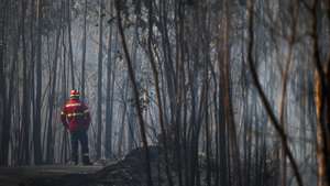 Combate ao incêndio na freguesia de Freixianda, no concelho de Ourém, que deflagrou ao início da tarde de hoje, está a mobilizar mais de 200 operacionais e 11 meios aéreos, Ourém., 24 de julho de 2024. PAULO CUNHA/LUSA