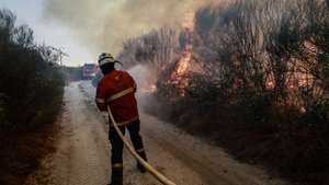 Bombeiros combatem um incêndio na zona industrial de Nelas, junto à linha ferroviária do norte, Nelas, Viseu, 17 de setembro de 2024. Pelo menos 27 incêndios continuavam ativos em Portugal continental esta madrugada, tendo causado três mortos e pelo menos 40 feridos. MIGUEL PEREIRA DA SILVA/ LUSA